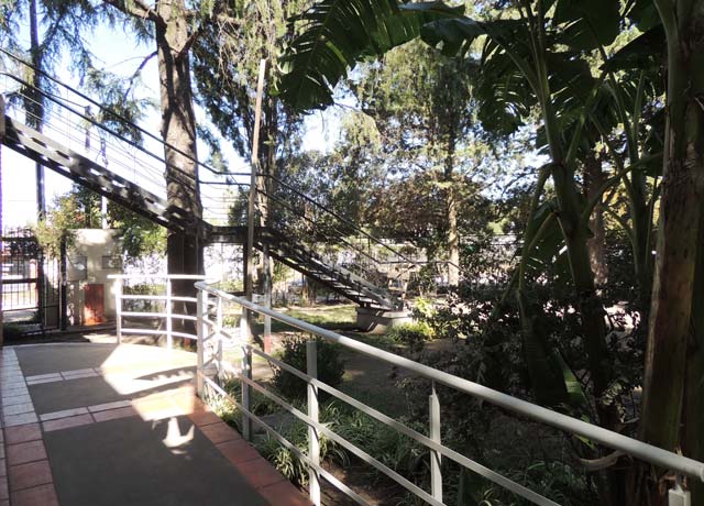 Parque